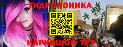 шишки Свободный