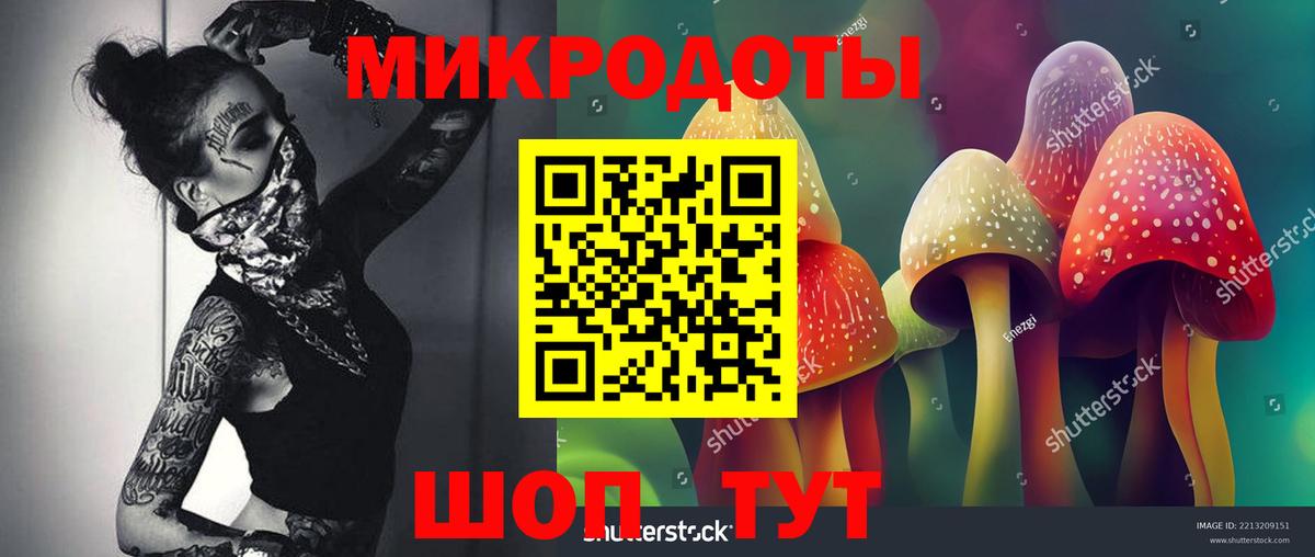 Галлюциногенные грибы Psilocybine cubensis Полевской
